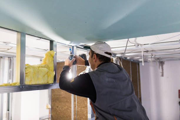 Best Insulation Inspection Services  in Media, PA